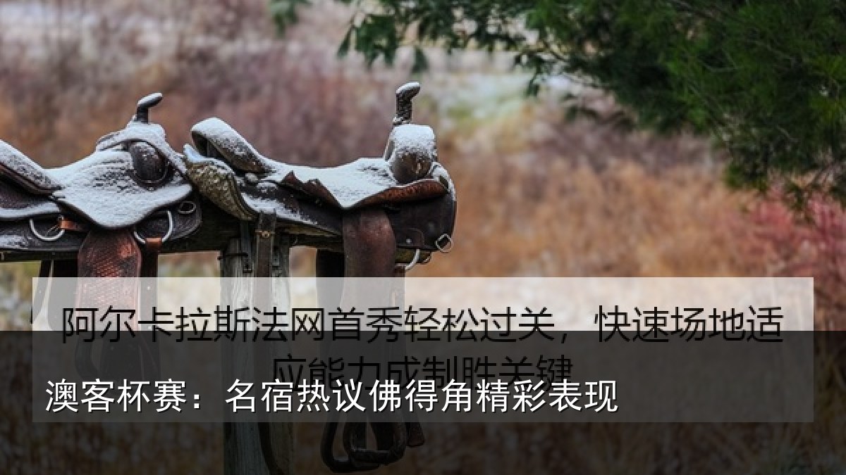 澳客杯赛：名宿热议佛得角精彩表现