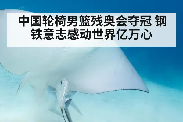 中国轮椅男篮残奥会夺冠 钢铁意志感动世界亿万心
