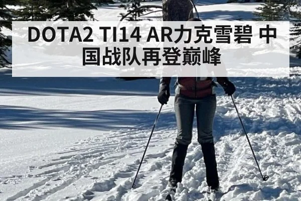 DOTA2 TI14 AR力克雪碧 中国战队再登巅峰